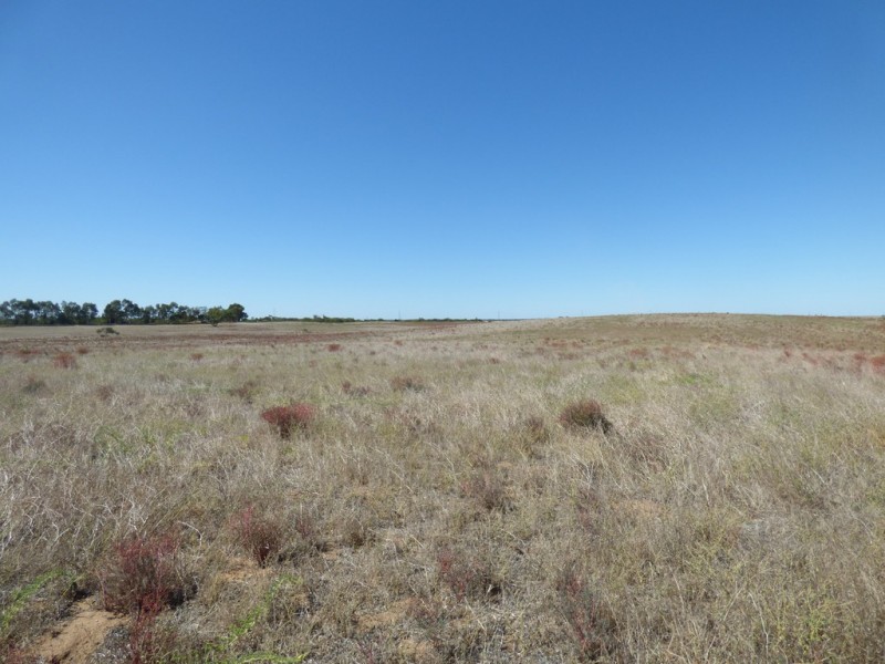 538 Dukes Highway, Elwomple SA 5260