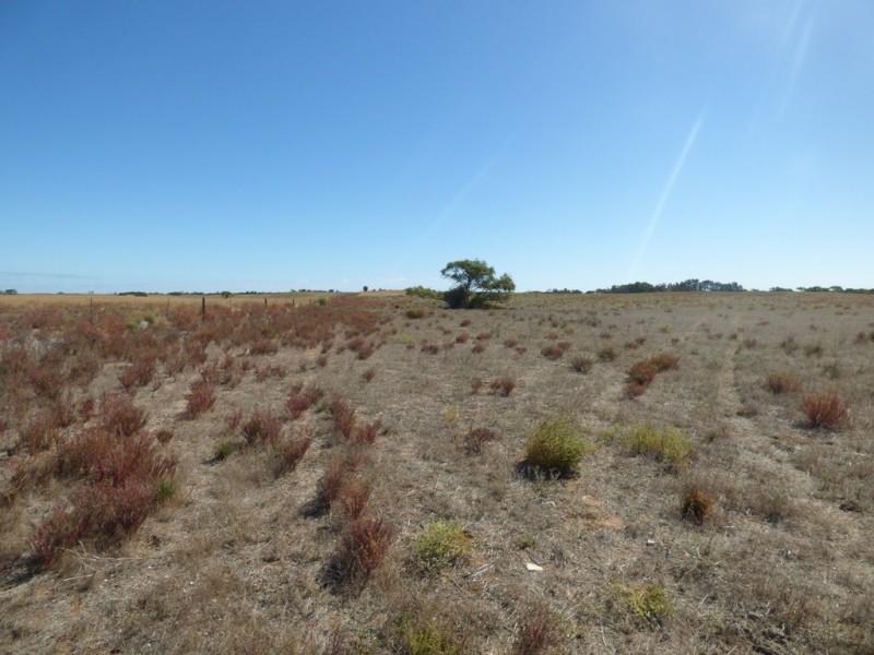 538 Dukes Highway, Elwomple SA 5260