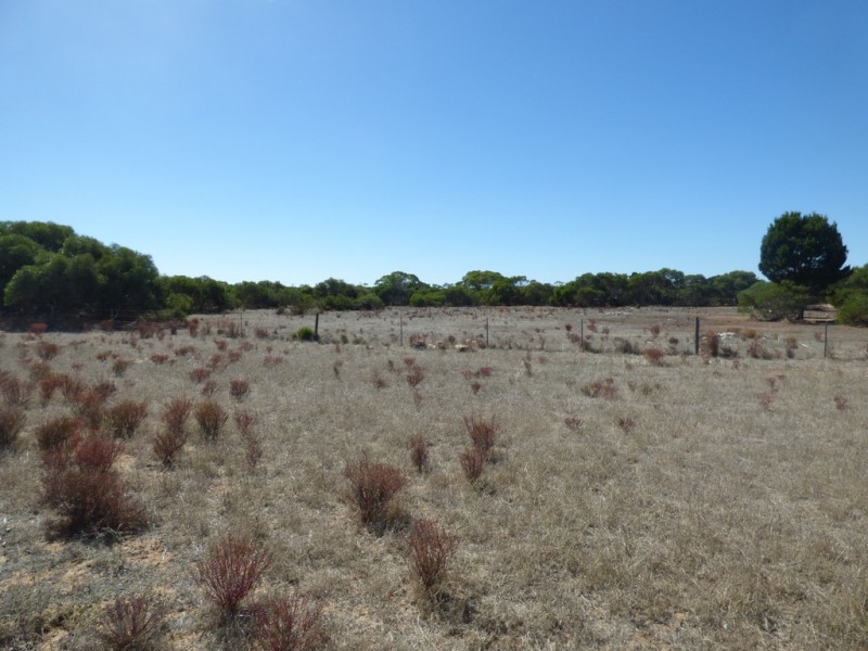 538 Dukes Highway, Elwomple SA 5260