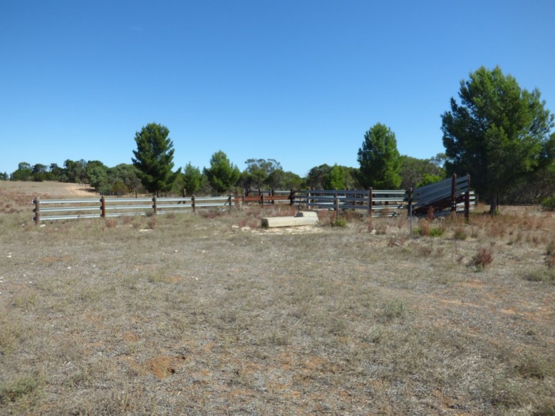 538 Dukes Highway, Elwomple SA 5260