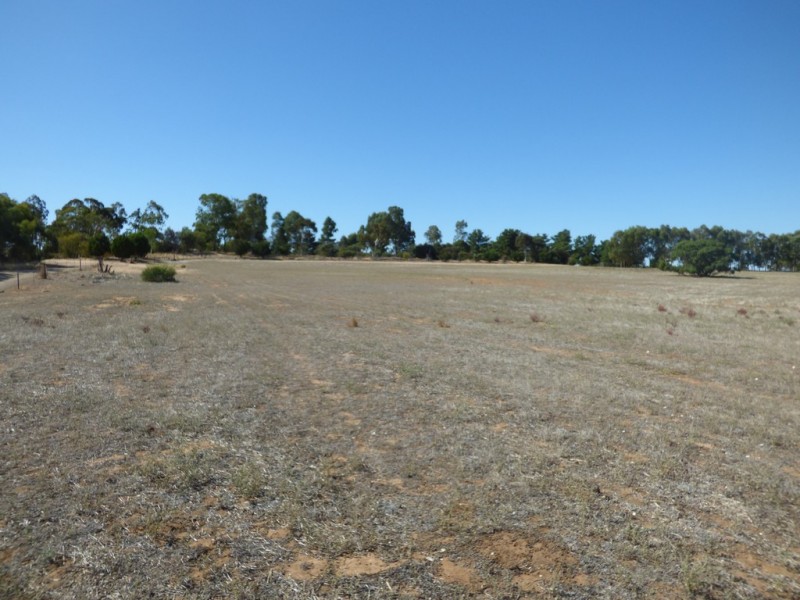 538 Dukes Highway, Elwomple SA 5260