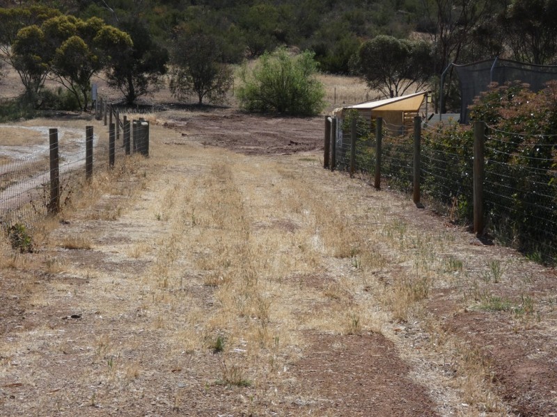 25 Young Road, Kanmantoo SA 5252