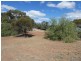 25 Young Road, Kanmantoo SA 5252