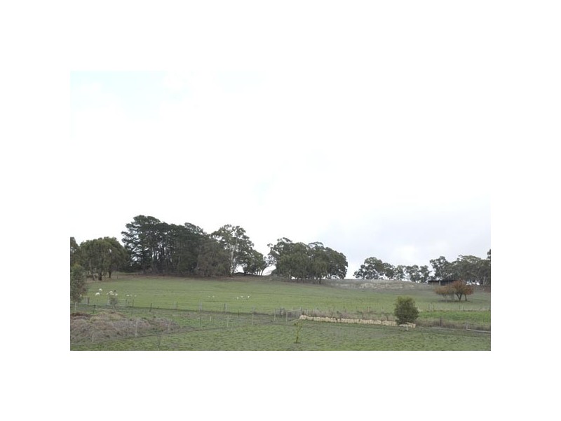 37 Waterford Avenue, Mount Barker SA 5251