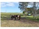 3871 Princes Highway, Meningie SA 5264