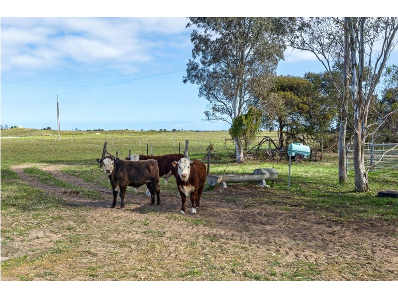 3871 Princes Highway, Meningie SA 5264