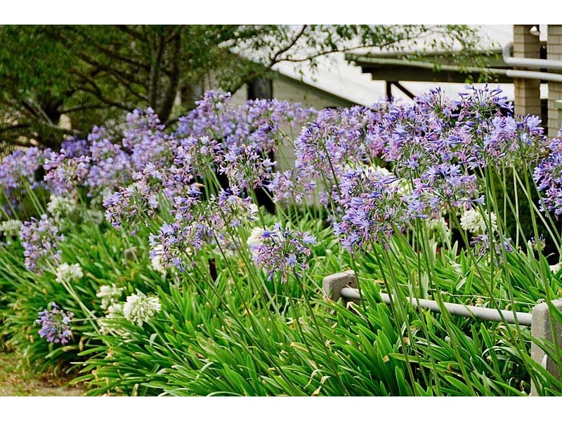 101 Range Road West, Willunga SA 5172