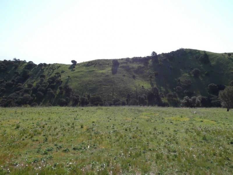 Lot 21 Seaview Avenue, Wirrina Cove SA 5204