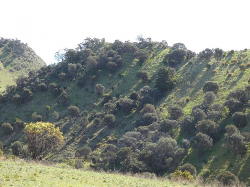 Lot 21 Seaview Avenue, Wirrina Cove SA 5204