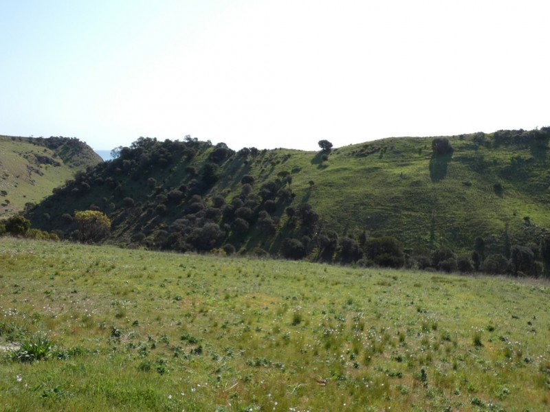 Lot 21 Seaview Avenue, Wirrina Cove SA 5204