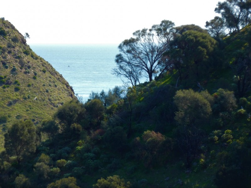 Lot 21 Seaview Avenue, Wirrina Cove SA 5204