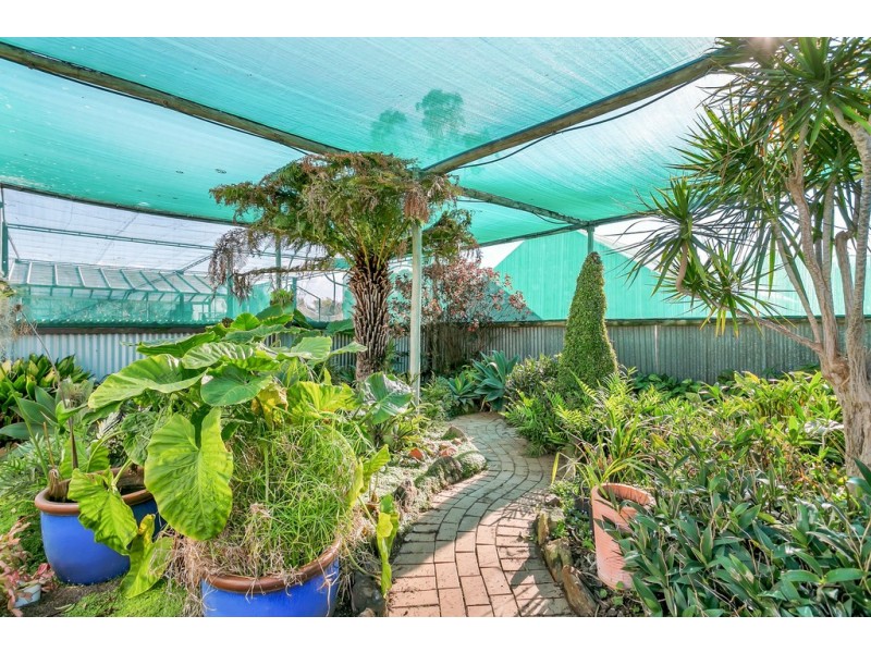 35 Murray Street, Strathalbyn SA 5255