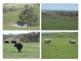 82F Treutler Road, Highland Valley SA 5255