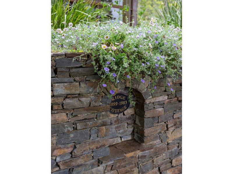 92 Ridge Road, Summertown SA 5141