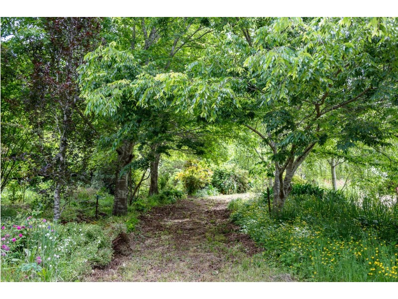 92 Ridge Road, Summertown SA 5141