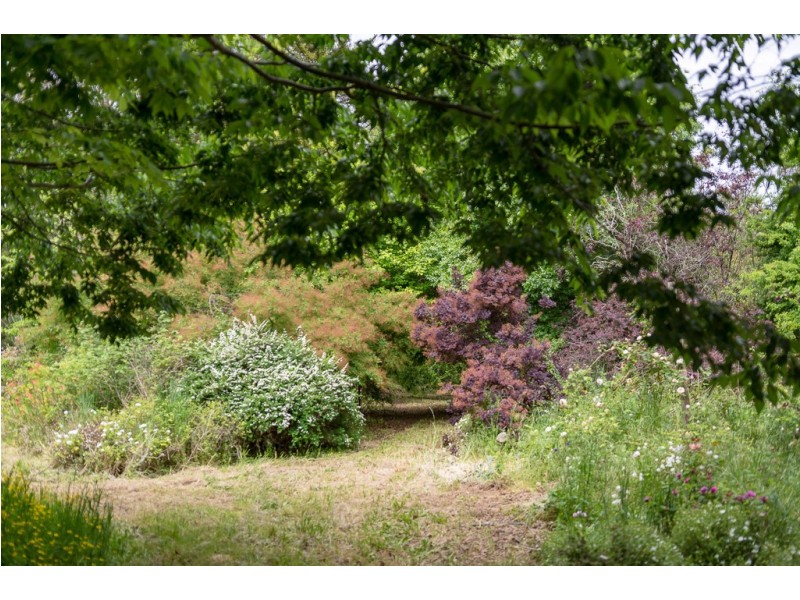 92 Ridge Road, Summertown SA 5141