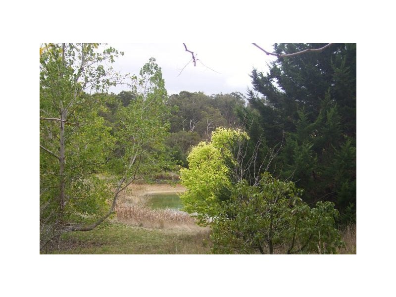 171 Red Gum Road, Flaxley SA 5153