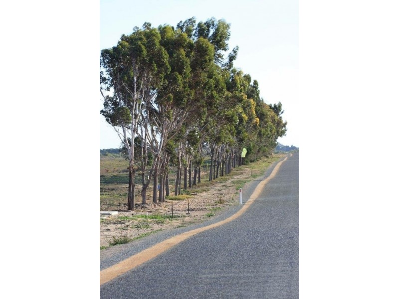 Lot 115 Kelsey Road, Wellington East SA 5259