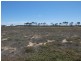 Lot 720 Riley Road, Wellington East SA 5259