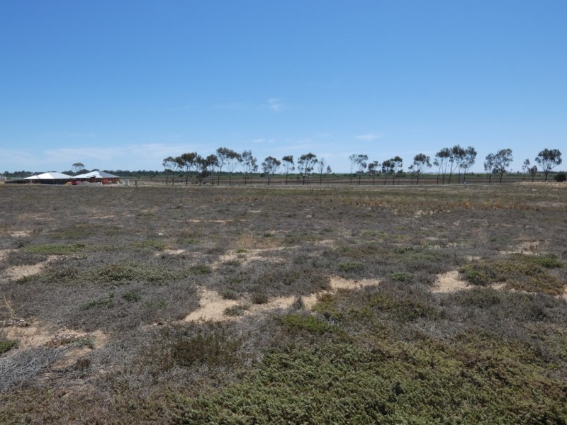 Lot 720 Riley Road, Wellington East SA 5259