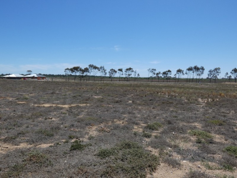 Lot 720 Riley Road, Wellington East SA 5259