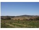 Lot 120 Cnr Burnbank Way and Furguson Ct, Mount Barker SA 5251