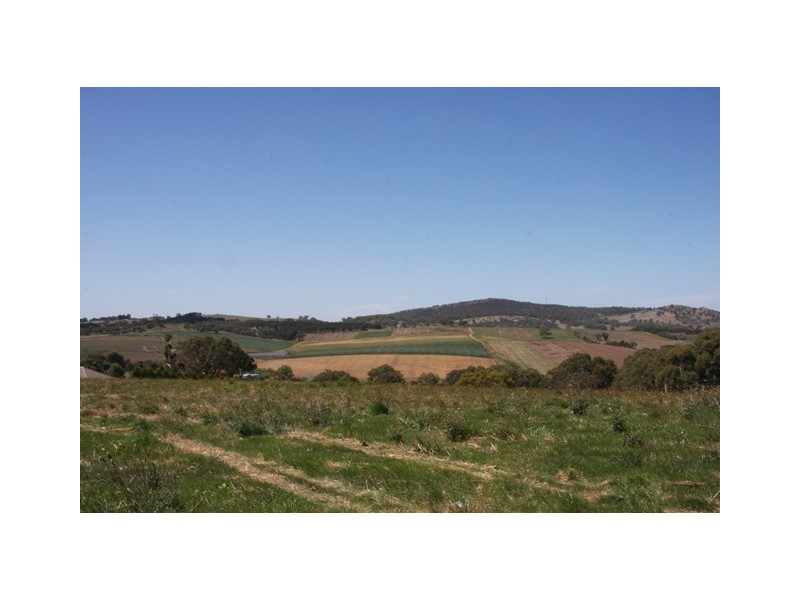 Lot 120 Cnr Burnbank Way and Furguson Ct, Mount Barker SA 5251