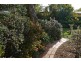 11 Symonds Drive, Mount Barker SA 5251