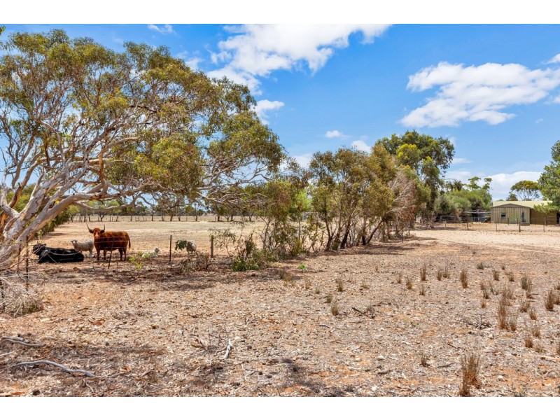 1154 Finniss-Milang Road, Milang SA 5256