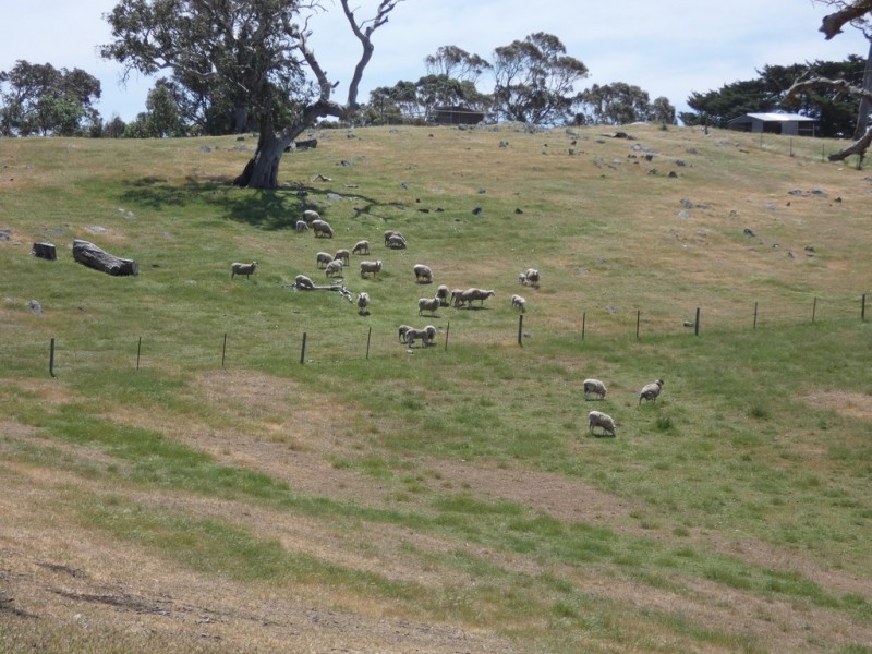 250 Harrogate Road, Dawesley SA 5252