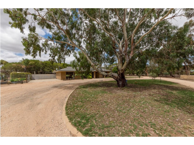 41 Roper Road, Willyaroo SA 5255