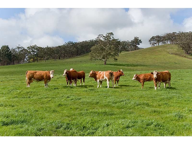 Lot 501 Rodert Road, Echunga SA 5153