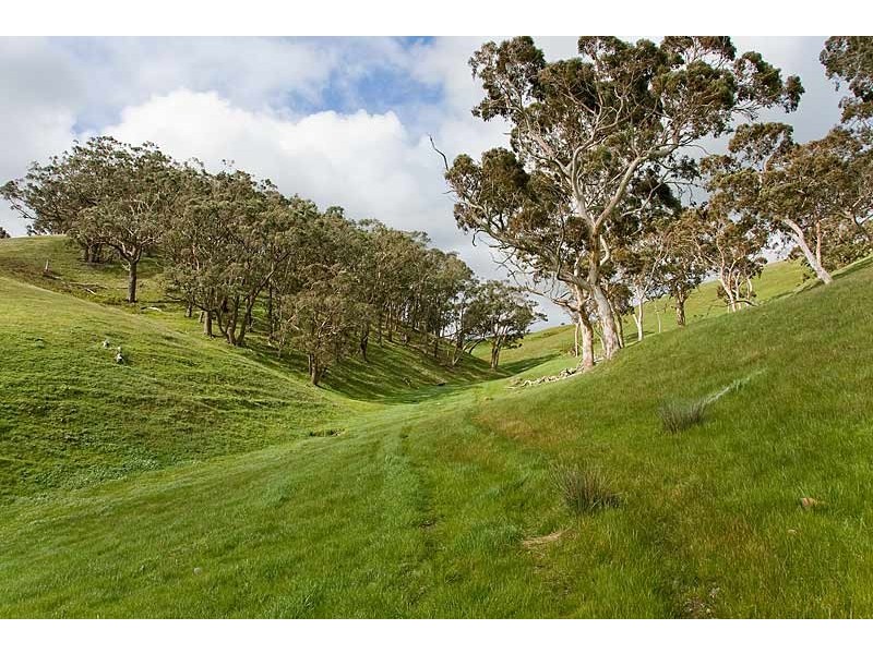 Lot 501 Rodert Road, Echunga SA 5153