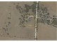 105 Eckert Road, Belvidere SA 5255