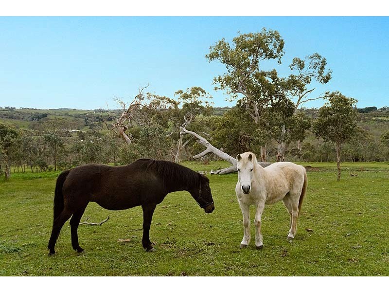 Lot 571 Vale Road, Wistow SA 5251