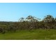 Lot 571 Vale Road, Wistow SA 5251