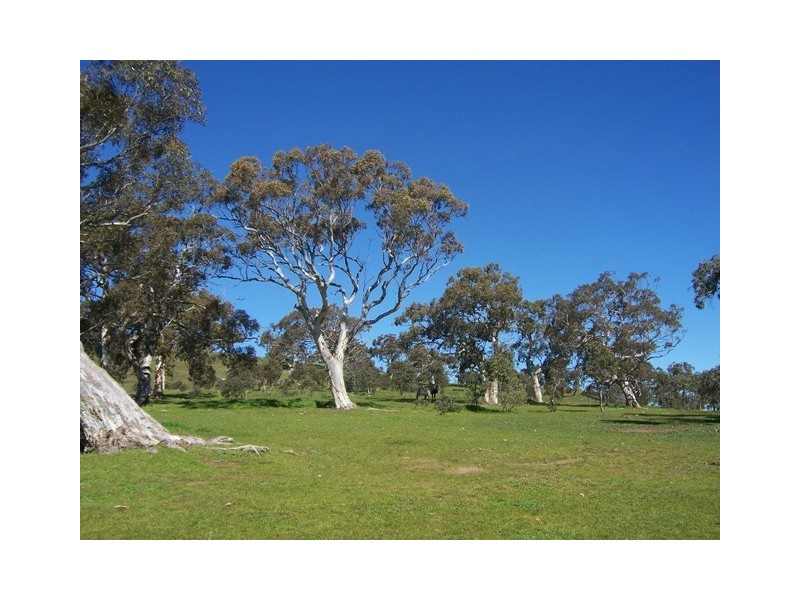 Lot 571 Vale Road, Wistow SA 5251