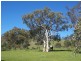 Lot 571 Vale Road, Wistow SA 5251