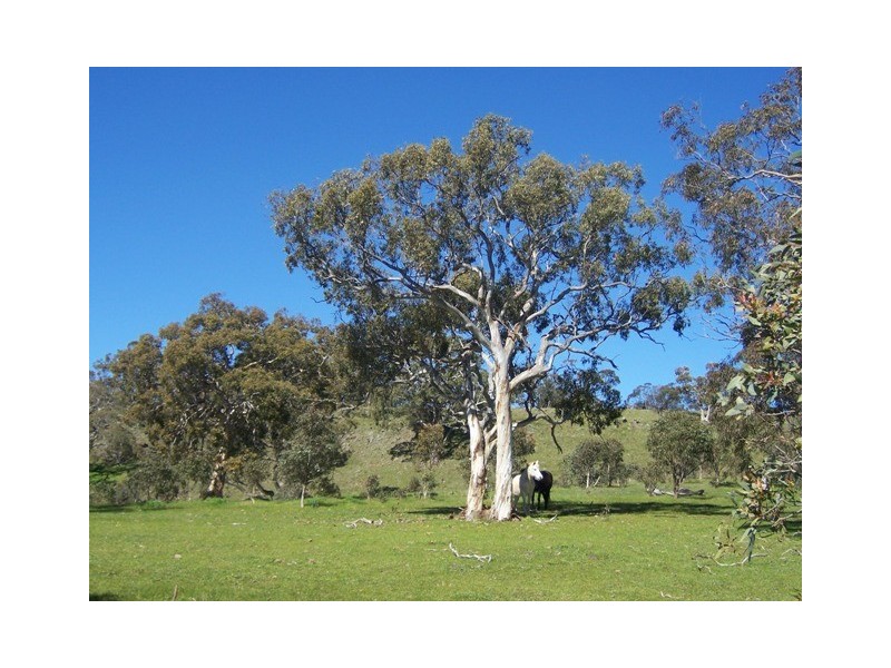 Lot 571 Vale Road, Wistow SA 5251