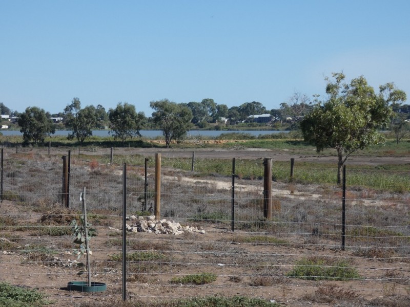 Lot 95 Alison Court, Wellington East SA 5259