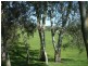 Lot 14, 14 Hillman Drive, Nairne SA 5252