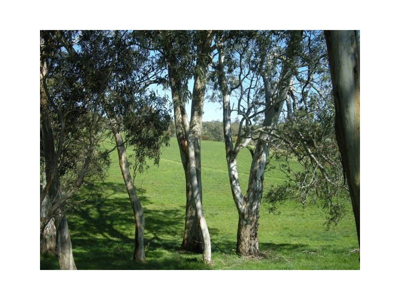 Lot 14, 14 Hillman Drive, Nairne SA 5252