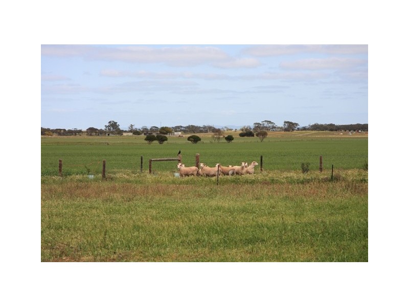 Lot 101 Strathalbyn – Milang Road, Milang SA 5256