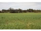 Lot 101 Strathalbyn – Milang Road, Milang SA 5256