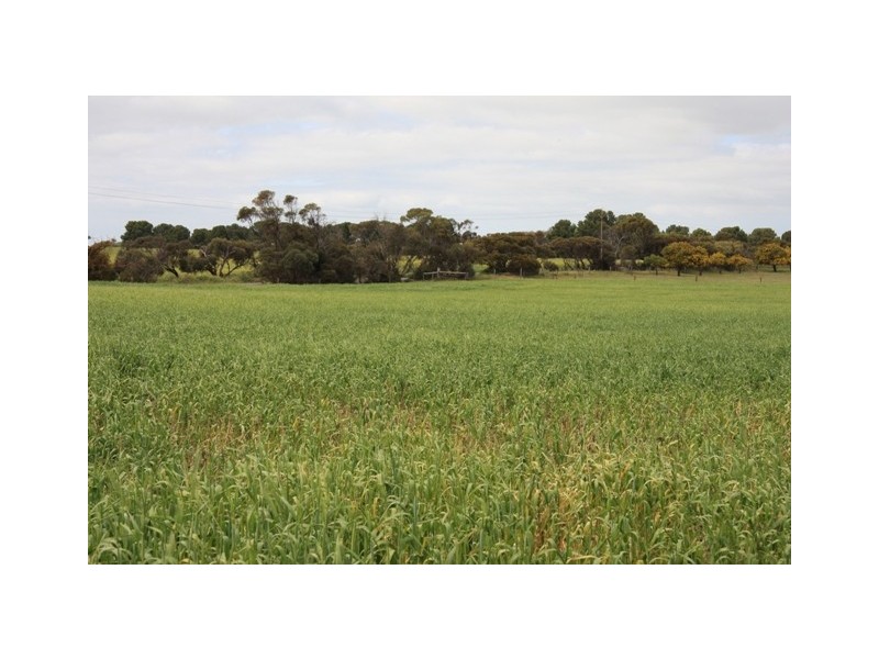 Lot 101 Strathalbyn – Milang Road, Milang SA 5256