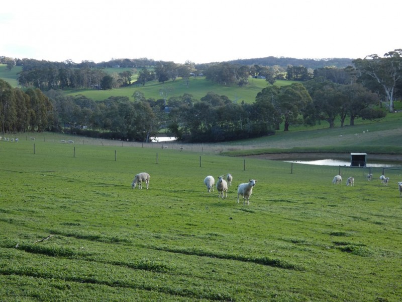 2120 Strathalbyn Road, Macclesfield SA 5153