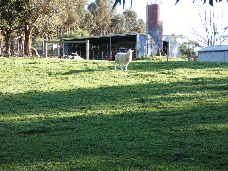 2120 Strathalbyn Road, Macclesfield SA 5153
