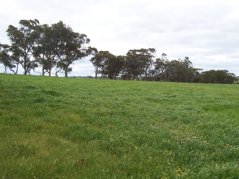 Lot 8 Archer Hill Road, Wistow SA 5251