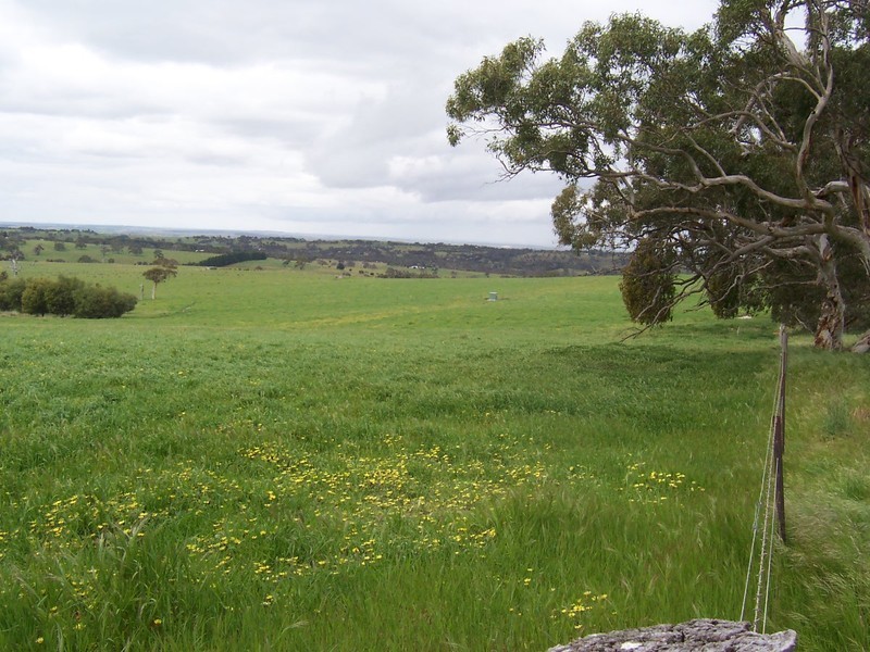 Lot 8 Archer Hill Road, Wistow SA 5251