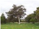 Lot 8 Archer Hill Road, Wistow SA 5251